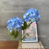 2 cabeça impressão 3D Anna Hortênsia rosa roxo hortênsia buquê de casamento decoração de casa decoração vintage simulação flores
