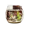 Acuario redondo de PET transparente, acuario de escritorio de tamaño mediano para peces betta, pecera para peces dorados, tortuguero, jarrón hidropónico para paisajismo acuático