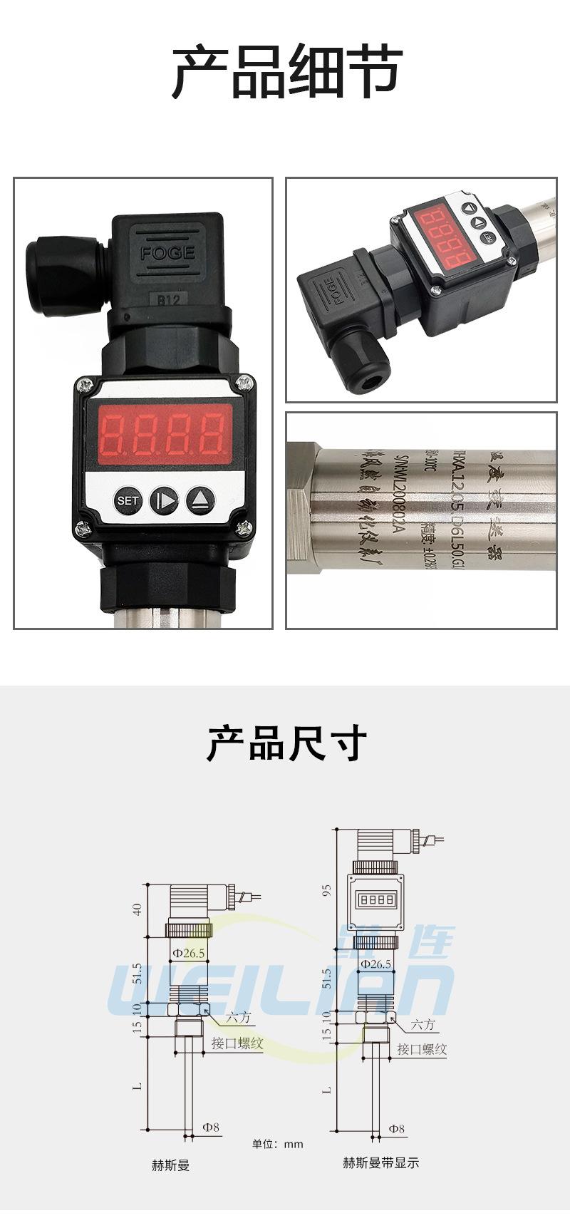 赫斯曼_05.png