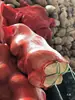 Bolsa de malla para ajos brotes de bambú patatas bolsa de malla tejida bolsa de red para pollo pato bolsa para calabazas repollos frutas verduras aves vivas bolsa de plástico