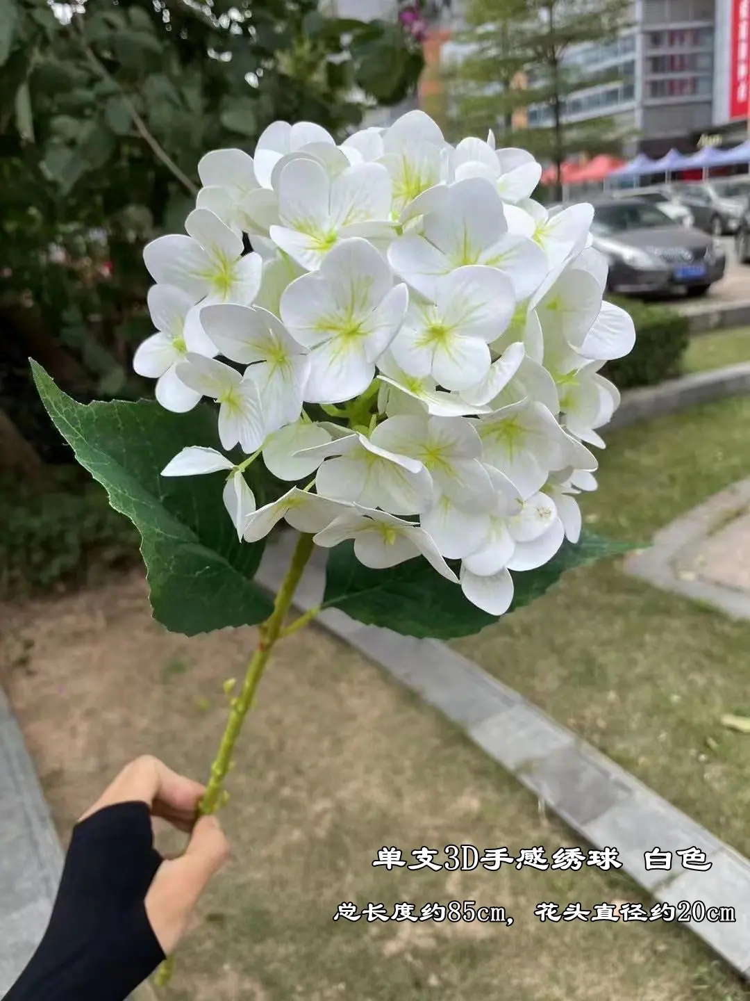 微信图片_20220612105920.jpg