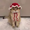 Gorro Lindo y Divertido para Mascota Disfraz de Gato Accesorio para la Cabeza Accesorios para Perro Collar Adornos Tejidos Nuevos 2026