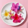 Novo Prendedor de Cabelo Borboleta Plumeria Transfronteiriço Amazon Cor de Doce Flor de Praia Prendedor de Cabelo Doce Acessório de Cabelo para Mulheres