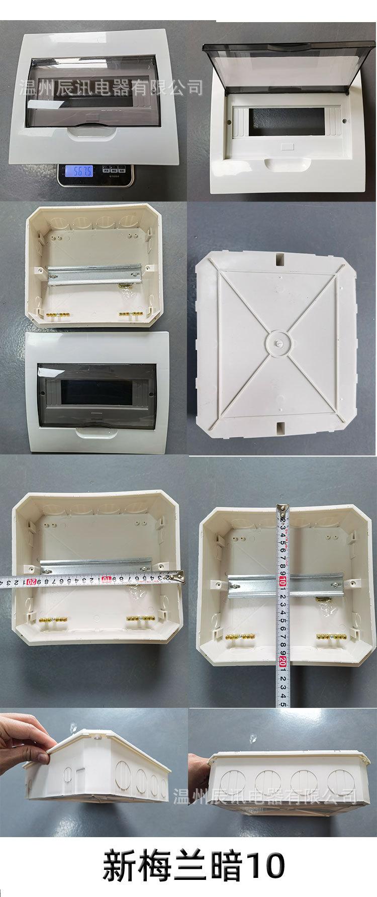 新梅兰暗10 .jpg