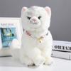 Direto da Fábrica Suprimentos para Pets Estilo Japonês Coleira com Sino de Cobre Colar Tamanho Ajustável Coleira de Gato