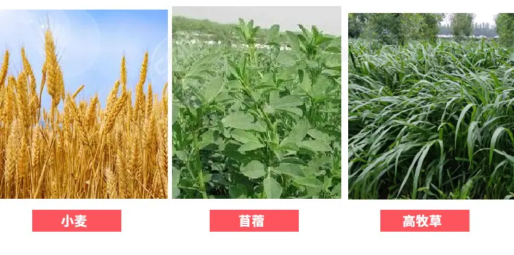 割晒机详情页_05.jpg