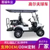 Carrinhos de Golfe Transfronteiriços, Campus, Área Cênica, Veículos de Recepção de Fábrica, Veículos de Transporte de Passageiros de Aeroporto, Carrinhos de Golfe Elétricos