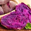 Batatas Púrpuras Frescas, Batatas de Corazón Morado, Batatas Recién Desenterradas, Batatas de Castaña, Verduras Cultivadas en la Granja