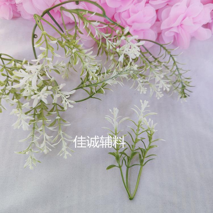 椰树-花 花七里香.jpg