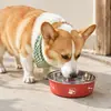 Comedero para Mascotas de Doble Capa de Acero Inoxidable y Plástico Transfronterizo, Plato para Gatos Estampado, Plato Antideslizante para Perros, Utensilios de Comida de Doble Capa de Acero Inoxidable
