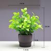 Planta verde artificial, planta en maceta de plástico, eucalipto artificial, planta verde artificial, adorno de plástico, flor artificial, bonsái.