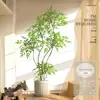 Planta Nandina Aterrizaje Planta en Maceta Interior Grande Biónica Verde Adornos Sala de Estar Lujo Ligero Flor Decorativa Árbol Falso