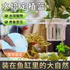 Estante de fijación para plantas hidropónicas de acuario canasta de plantación para colgar en la pared taza de plantación de plantas acuáticas para el hogar decoración de paisajismo de acuario maceta