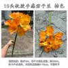 Flores artificiais decorativas para salas de estar de casas e hotéis, clívia artificial de toque macio com 10 cabeças, decoração de casamento e adereços de design de interiores para fotografia