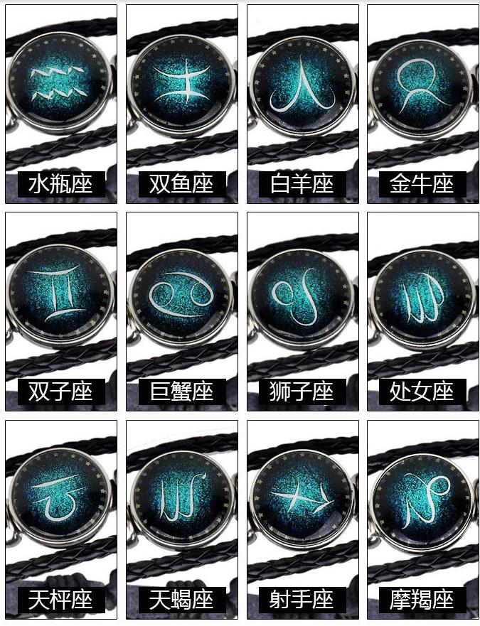 十二星座3