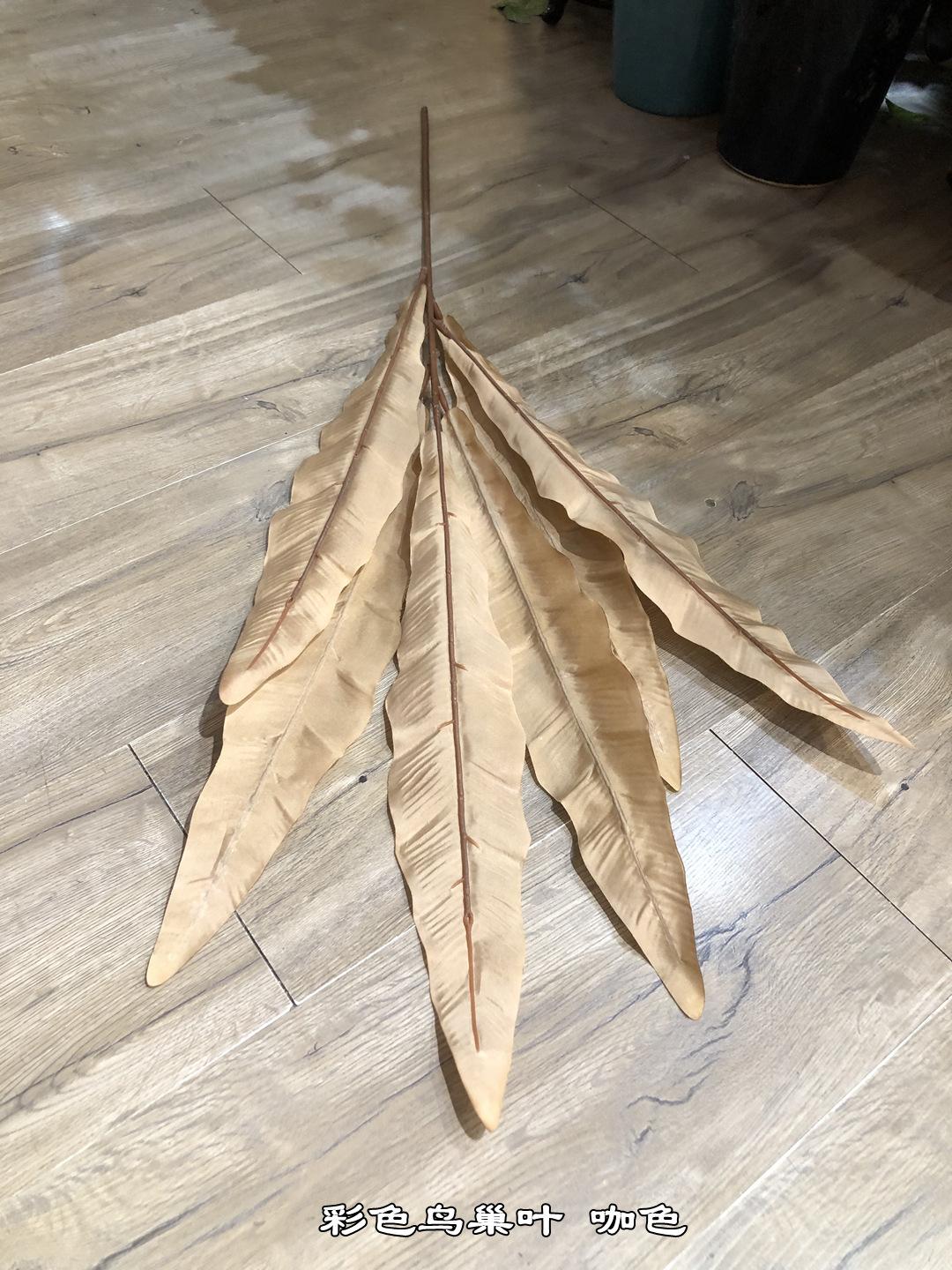 微信图片_20210630101804.jpg