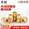 Porca de Cobre para Injeção de Termofusão Terra Oito Caracteres Sarjado Flor de Cobre Peça Embutida Inserção de Cobre Porca Recartilhada M1M2M4M8