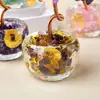 Adorno de Árbol de Dinero de Cristal para Decoración de Escritorio en Casa y Oficina, Frasco de Vidrio con Fragmentos de Cristal, Árbol de la Fortuna Regalo