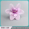 Cabezas de Flores Artificiales, Flores de Orquídea de Nieve, Flores para Pasador de Orquídea, Arreglos Florales Decorativos para Hoteles y Restaurantes, Cabezas de Flores para Muñeca, Ramilletes de Flores