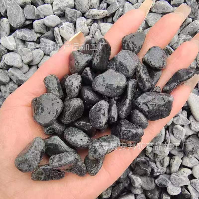 微信图片_20240312140800