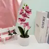 Nova Pedra Flor de Chuva 7 Flores Phalaenopsis Bonsai Fotografia Arranjo de Fotos Flor Artificial em Vaso Decoração de Casa Sala de Estar Planta em Vaso