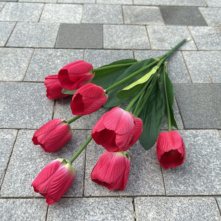9头大把束郁金香-绽放大号-exlbx-玫红.JPG
