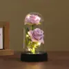 Cubierta de Plástico de Rosa Simulada Transfronteriza Nueva Doble Rosa Adornos de Escritorio Linterna Rosa Multicolor Luz Nocturna