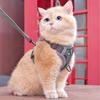 Coleira Peitoral Refletiva para Gato Anti-quebra Respirável Coleira para Passeio de Gato Coleira para Cães Pequenos e Médios