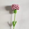 2025 Nuevo Ramo de Claveles Tejido a Crochet Ramo Simulado Personalizable Flor Eterna Tejido a Mano Stock Disponible