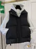 Colete de Moda 2025 Lightning Warehouse para Mulheres, Roupa Externa para Outono e Inverno, Nova Jaqueta Colete Curta Engrossada Tendência