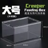 Terrário de Acrílico para Répteis Gecko Lagarto Árboreo Sapo Cornudo Aranha Caixa de Criação Paisagismo Desértico Tanque Anfíbio
