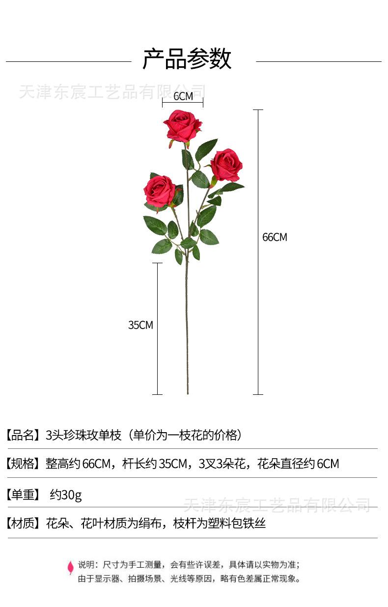 详情_01.jpg