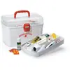 Organizador de Caixa de Remédios 6,2L Bc