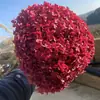 Flor Eterna Folha Pequena Hortênsia Anna Flor Seca Flor Real Estilo Escandinavo Props para Fotos Ins Buquê de Casamento Pronto Decoração