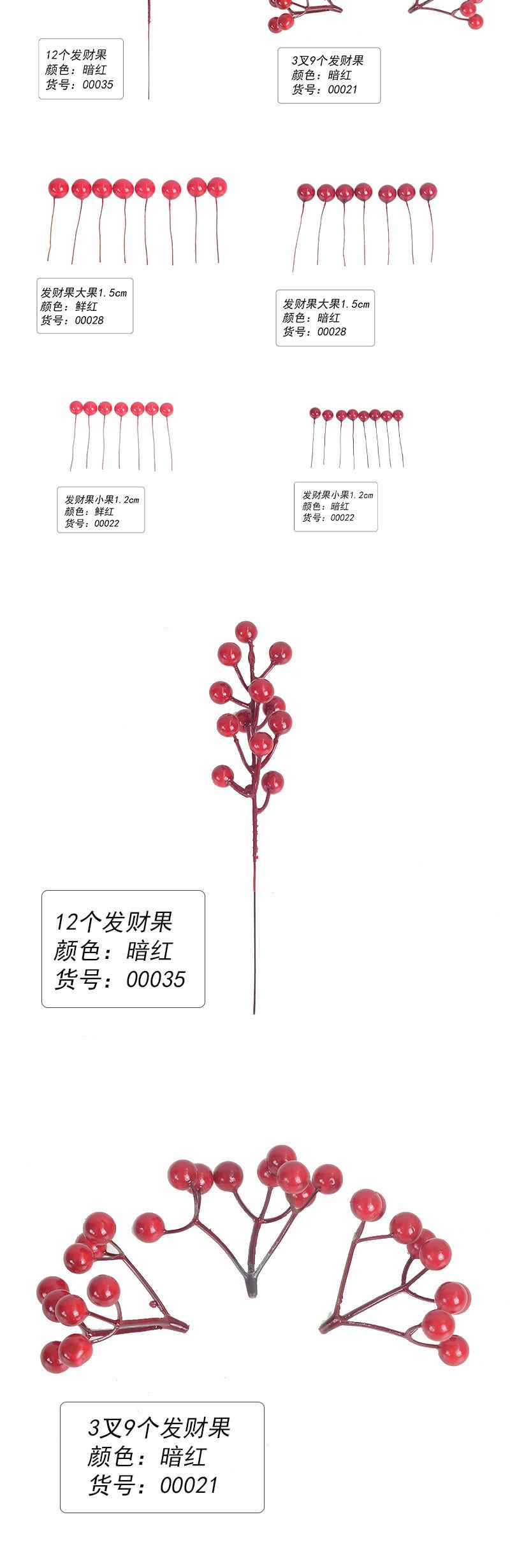 发财果_03.jpg