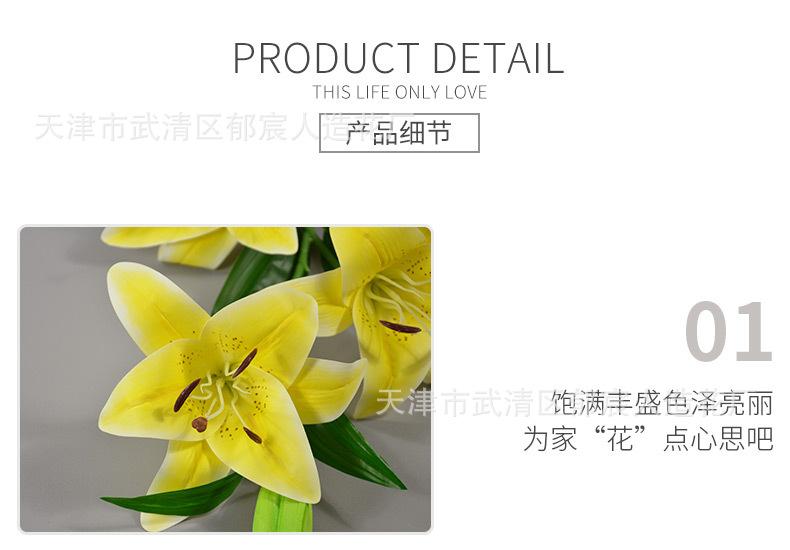 详情_08.jpg