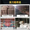 Codo de esquina de cuatro vías loft retro tridimensional de cuatro vías accesorios de tubería galvanizada estante de cuatro vías galvanizado estante para tuberías de agua piezas de hierro maleable