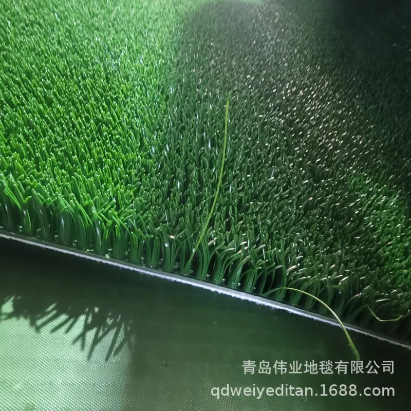 IMG20260101155703.jpg