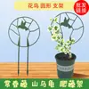 Suporte para Planta Trepadeira Javali Verde Montanha Tartaruga Armadura Dragão Hera Trepadeira Pequeno Suporte Trepadeira Suporte para Planta Verde Hera Flor e Pássaro Suporte