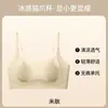 Comércio Exterior Transfronteiriço Xi Yin Amazon Sudeste Asiático Costas Nuas Sem Costura Base Líquida Reunião e Modelagem Estilo Colete Lateral Sutiã Sutiã Feminino