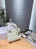 Transfronterizo 2026 Nuevo Bolso Dior Lady Dior con Múltiples Bolsillos y Lazo Bolso de Mano Acolchado de Moda Clásico Versátil Bolso de Hombro Cruzado
