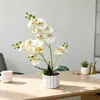 Decoración para el Hogar Artificial Orquídea Phalaenopsis Bonsái de 21 Piezas Adorno para Bodas, Hoteles y Arreglos de Patios, Tacto Realista Flor Falsa Planta Pequeña en Maceta