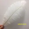 Plumas de Avestruz Reales 10-80CM Blancas Decoraciones para Pasillo de Boda Centros de Mesa Plumas de Avestruz DIY Accesorios Decorativos de Plumas Plumas Grandes