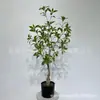 Estilo Nórdico Planta Verde Artificial Árbol de Andromeda Árbol de Campana Colgante Planta Verde Artificial Maceta de Andromeda Micro Paisaje