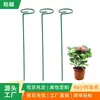 Soporte para plantas, soporte para flores, soporte para plantas trepadoras, soporte antiencamado, soporte para flores fijo antiencamado, soporte para flores, soporte para flores, protección para flores