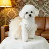 Falda para Mascota Vestido de Gasa Estilo Primavera y Verano para Perros Bichón, Teddy, Pomerania y Gatos, Vestido de Novia Dorado Ropa Estilo Princesa