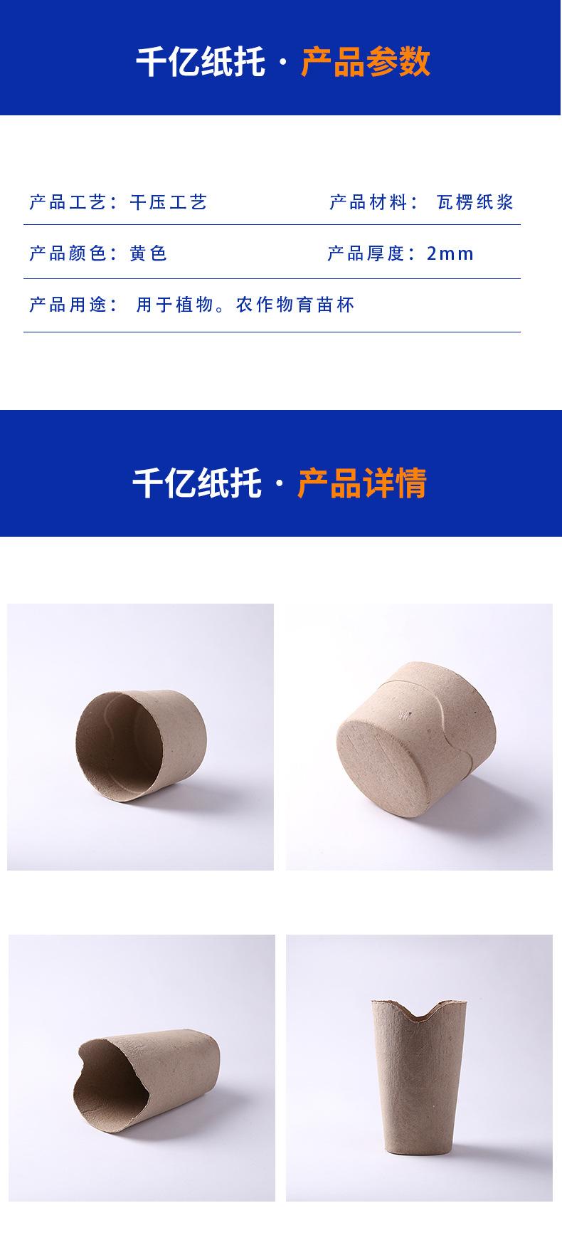 育苗杯5.jpg
