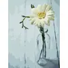 Fabricante de pintura al óleo digital DIY de mariposa nocturna, venta al por mayor, marco combinado sin marco, marco interior estirable, múltiples estilos, envío directo transfronterizo.