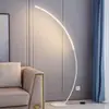 Luminária de chão LED transfronteiriça da Amazon, modelo de arte de designer, sala de estar, criativa, curva, minimalista, estilo ins, luminária de pesca