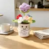 Muñecas de plantas tejidas a mano transfronterizas, decoraciones de plantas tejidas, flores artificiales de ganchillo para fiestas